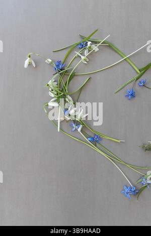 Fiori bluestem appena raccolti disposti a forma di cuore floreale sul tema dell'amore, della festa della mamma, del matrimonio e della decorazione floreale Foto Stock