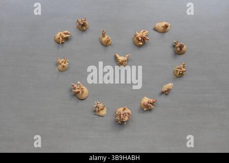 I frammenti di patate e le pelature si trovano a forma di cuore su sfondo grigio sul tema dei rifiuti organici e della separazione organica Foto Stock