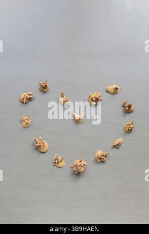 I frammenti di patate e le pelature si trovano a forma di cuore su sfondo grigio sul tema dei rifiuti organici e della separazione organica Foto Stock