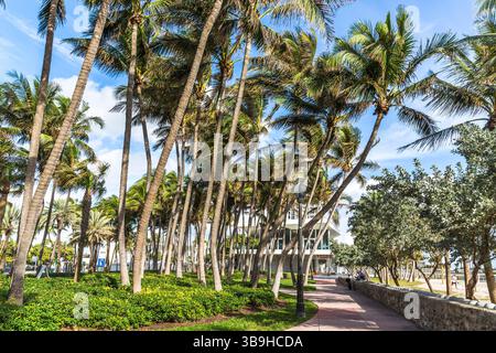 Park, Bandshell, North Beach, Miami Beach, Florida, Stati Uniti, Nord America Foto Stock