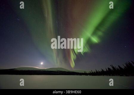 Europa, Nord Europa, Finlandia, Lapponia, aurora boreale, Aurora, aurora boreale Foto Stock