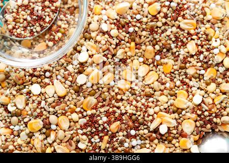 Una vista dall'alto dettagliata di un ricco mix di cereali e semi assortiti, compresi chicchi di mais, sorgo, miglio e legumi, stendere su una superficie piana Foto Stock