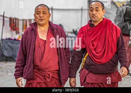 Monaci buddisti locali, Dharamshala, India Foto Stock
