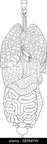 Illustrazione in linea astratta che raffigura organi interni umani tra cui polmoni, cuore, fegato, stomaco, intestino, e vescica, con rendering unico Illustrazione Vettoriale