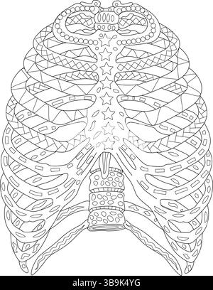 Illustrazione grafica dettagliata di una gabbia costale umana piena di motivi astratti. Perfetto per colorare libri, materiale educativo, illustrazioni mediche Illustrazione Vettoriale