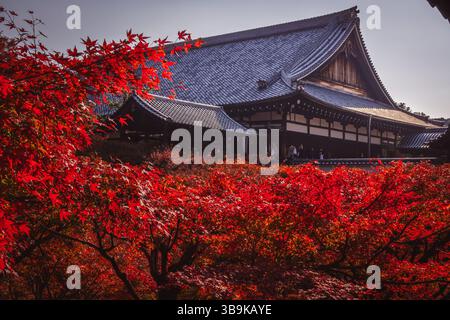 Paesaggio autunnale al Tempio Tofuku-ji nel quartiere di Higashiyama, Kyoto. Foto Stock