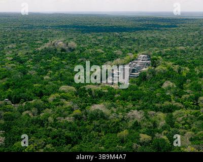 Ripresa aerea di tre piramidi Maya che escono dalla giungla a Calakmul, Messico Foto Stock