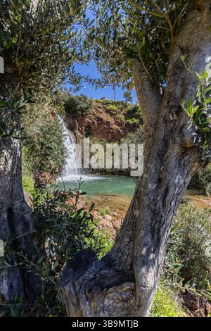 Una cascata nel cuore della natura, un bel fiume e una cascata in primavera. La cascata di Queda do Vigário nei pressi di alte, Algarve, Portogallo Foto Stock