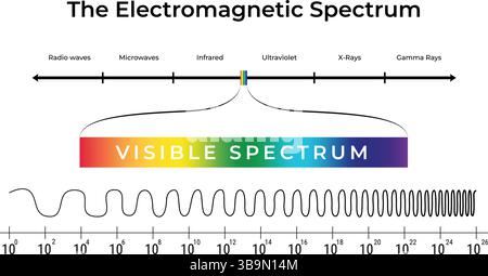 Illustrazione dello spettro elettromagnetico e del vettore di progettazione a luce visibile Illustrazione Vettoriale
