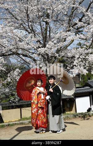 Una coppia giapponese sposata in tradizionale abito kimono sotto i fiori di ciliegio a Kyoto, in Giappone. Foto Stock
