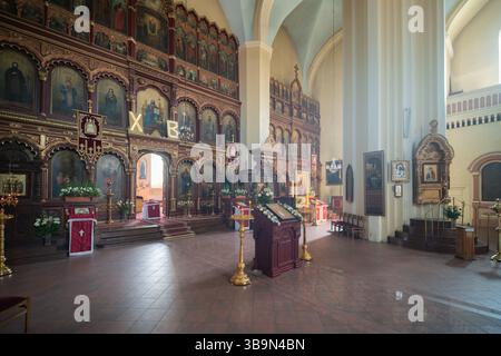 Cattedrale di Theotokos, chiesa ortodossa in stile bizantino a Vilnius, Lituania Foto Stock