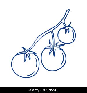 Pomodori appena raccolti appesi su una vite in giardino durante la fine dell'estate Illustrazione Vettoriale