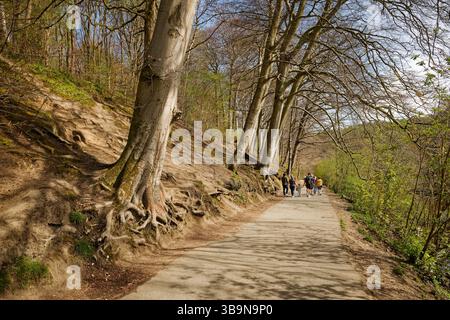 Un gruppo di famiglie in una passeggiata in campagna lungo un viale boscoso su una collina, l'Etherow Country Park, Stockport. Foto Stock