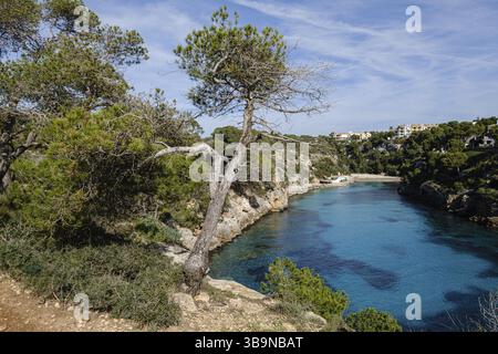 Cala pi, Llucmajor, Maiorca, Isole Baleari, Spagna, Europa Foto Stock