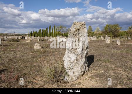 Necropoli di Las Ruedas, antica città Vaccea di Pintia, Padilla de Duero, provincia di Valladolid, Spagna, Europa Foto Stock