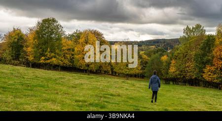 Passeggiata autunnale nell'alta Lusazia Foto Stock