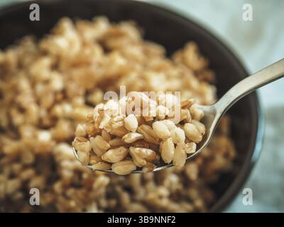 Il farro bollito in cucchiaio e non focalizzato nel recipiente. Il farro cotto semi in fuoco selettivo. Spazio di copia Foto Stock