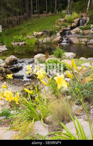 Giallo Hemerocallis - fiori gialli, cascate artificiali e laghetto con Typha latifolia - coda comune, Typha minima - coda nana. Foto Stock