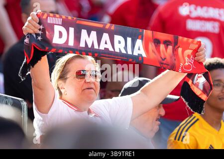 Lisbona, Lisbona, Portogallo. 10 maggio 2025. Tifosi Benfica prima dell'inizio della partita per la Liga Portugal Betclic tra Benfica e Sporting all'Estadio da Luz crediti: Alexandre de Sousa/ZUMA Press Wire/ZUMA Wire/Alamy Live News Foto Stock