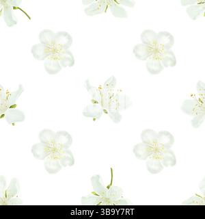 Fiori bianchi con delicati petali e stami gialli, motivo senza cuciture. Illustrazione digitale ad acquerello. sakura giapponese e ramoscelli in fiore di ciliegio e. Foto Stock