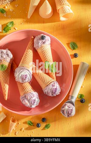 Delizioso gelato ai mirtilli fatto in casa come dessert estivo. Gelato a base di panna e mirtilli. Foto Stock