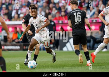 Kingsley Coman (FC Bayern Muenchen, 11), 10.05.2025, Fussball, 1. Bundesliga, FC Bayern M?nchen - Borussia M?nchengladbach, GER, M?nchen, Allianz Arena. LE NORMATIVE DFL VIETANO QUALSIASI UTILIZZO DI FOTOGRAFIE COME SEQUENZE DI IMMAGINI E/O QUASI-VIDEO. Foto Stock