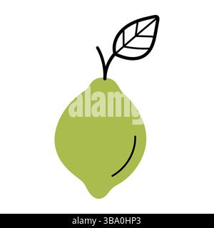 Lime fresca intera con ramoscello e foglia. Icona disegnata a mano degli agrumi. Illustrazione vettoriale isolata in stile linea doodle. Illustrazione Vettoriale