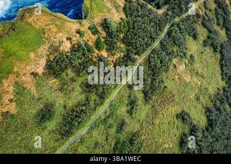 Vista dall'alto della lussureggiante foresta verde con sentiero tra le Alpi svizzere sull'altopiano svizzero Foto Stock