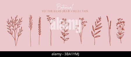 Set di fiori e piante elementi botanici alla moda. Set minimalista disegnato a mano, rosa Illustrazione Vettoriale