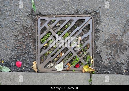 Uno scarico ostruito da terra e erbacce in una canaletta stradale, Regno Unito Foto Stock