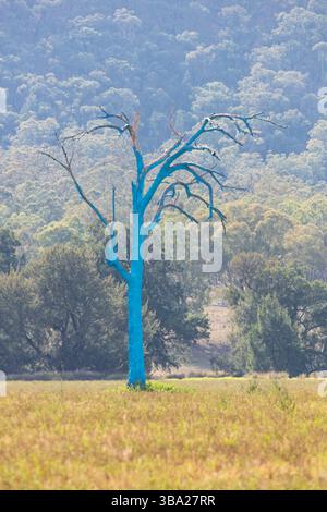Fotografia di un grande albero dipinto di blu come parte dell'Australian Blue Tree Project per la consapevolezza della salute mentale situato nella Capertee Valley. Foto Stock