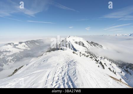 Fantastico tour con racchette da neve sulla Hochgrat presso la Nagelfluhkette in Allgau, in Baviera Foto Stock