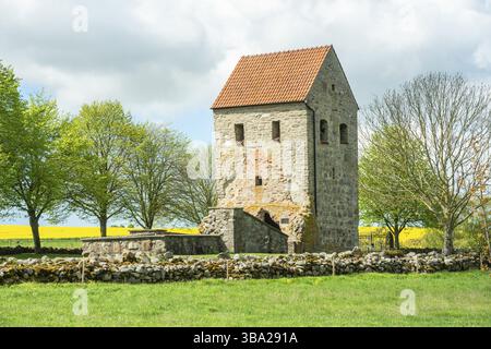 Rovine della chiesa di Nedraby, costruita nel XIII secolo e abbandonata nel 1635. Situato nel comune di Tomelilla, Skane County, Svezia, Scandinavia, Europa Foto Stock