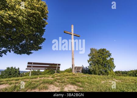 Sul meraviglioso sentiero escursionistico a lunga percorrenza, Seegang sul lago di Costanza, Germania, Europa Foto Stock