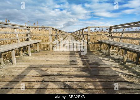 Fantastica giornata presso il sito naturale di Federsee, patrimonio mondiale dell'umanità, vicino a Bad Buchau, alta Svevia, Germania, Europa Foto Stock