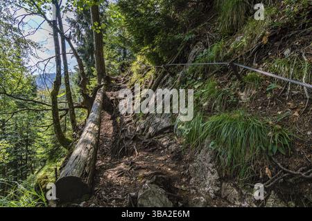 Arrampicata sul Drachenwand via ferrata presso la bella Mondsee Foto Stock
