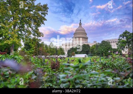 Il Campidoglio degli Stati Uniti, il luogo d'incontro del Congresso degli Stati Uniti, si trova su Capitol Hill all'estremità orientale del National Mall in lavatrice Foto Stock