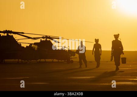 I Marines statunitensi assegnati al Marine Light Attack Helicopter Squadron 169, Marine Aircraft Group 39, 3rd Marine Aircraft Wing, si preparano a condurre il manutentore Foto Stock