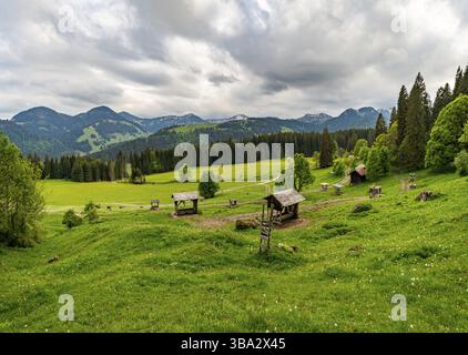 La bellissima valle di Gunzesried nell'Allgau, vicino a Blaichach, Sonthofen Foto Stock