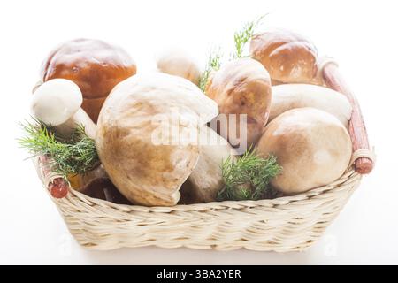 Pentole nel cestello preparato per la cottura isolato Foto Stock