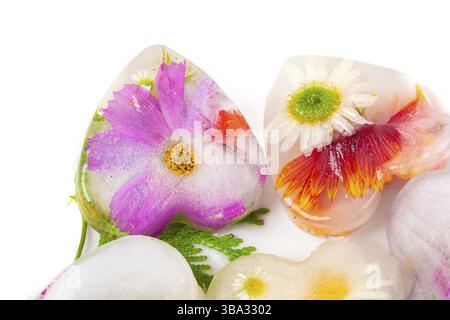 Vari fiori congelati a forma di cuore di ghiaccio. Sfondo floreale creativo. Belle piante congelate Foto Stock