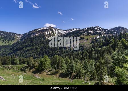 Meraviglioso tour escursionistico fino alla cima del Buralpkopf, vicino a Hochgrat, presso il Nagelfluhkette nella splendida Allgaeu Foto Stock