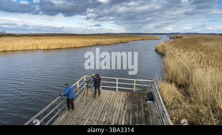 Fantastica giornata presso il sito naturale di Federsee, patrimonio mondiale dell'umanità, vicino a Bad Buchau, alta Svevia, Germania, Europa Foto Stock