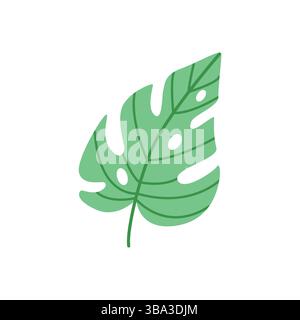 Graziosa illustrazione a foglia di monstera disegnata a mano su sfondo bianco Illustrazione Vettoriale