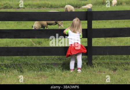 La vita di tutti i giorni per me su una perfetta giornata di sole Foto Stock