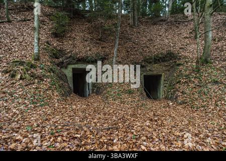 Ho scoperto alcuni vecchi tunnel della seconda guerra mondiale nell'alta Svevia da contadini e civili Foto Stock