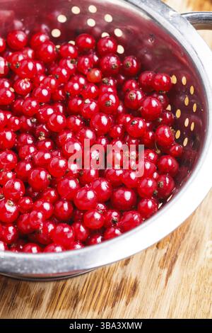 Frutti di ribes rossi nel colino metallico Foto Stock