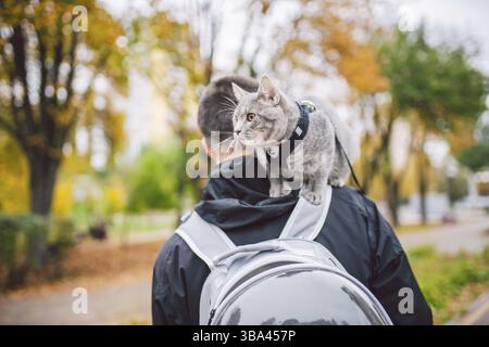 Ritratto di alto giovane caucasico felice uomo all'aperto giocando con grigio divertente gattino si siede sulla schiena su trasparente gatto zaino porta borsa, Foto Stock