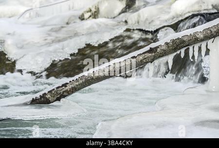 Fiume invernale che scorre vicino alla neve e alle pietre ricoperte di ghiaccio e al piccolo albero caduto con dettaglio icicle, primo piano Foto Stock