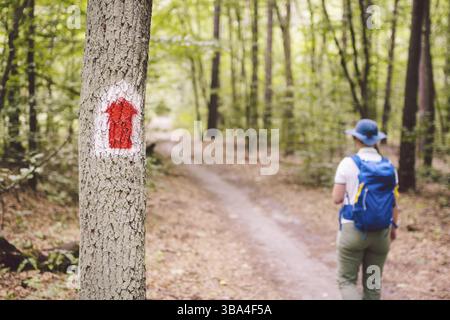 Escursionismo sentiero segnato nella foresta. La marcatura del percorso turistico dipinto sull'albero. Itinerario turistico di segno. Percorso di viaggio segno. Escursionista turistica con zaino Foto Stock